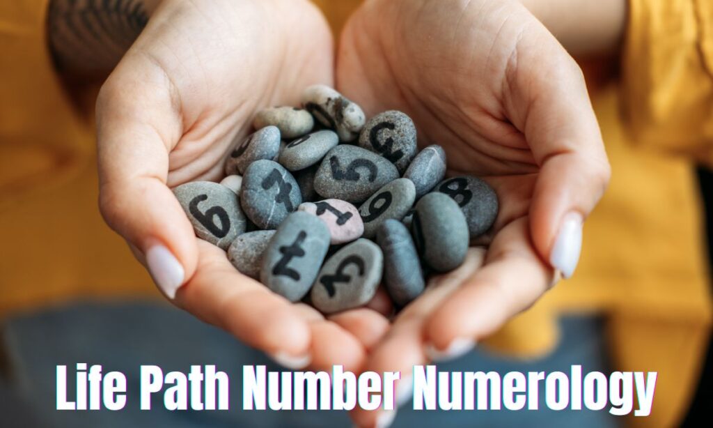 Life Path Number Numerology